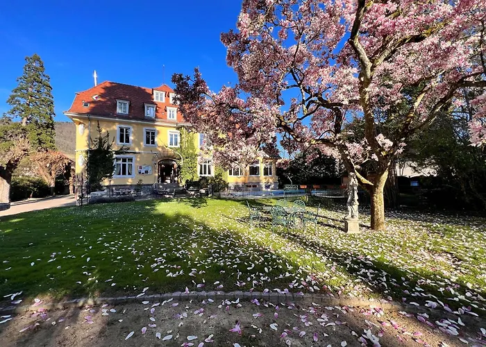 Restaurant Du Parc